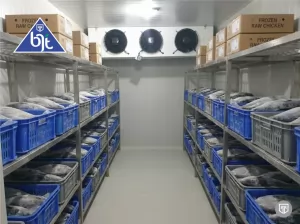 Cold Storage Ikan Beku untuk Penyimpanan Tuna Beku Berkualitas Tinggi